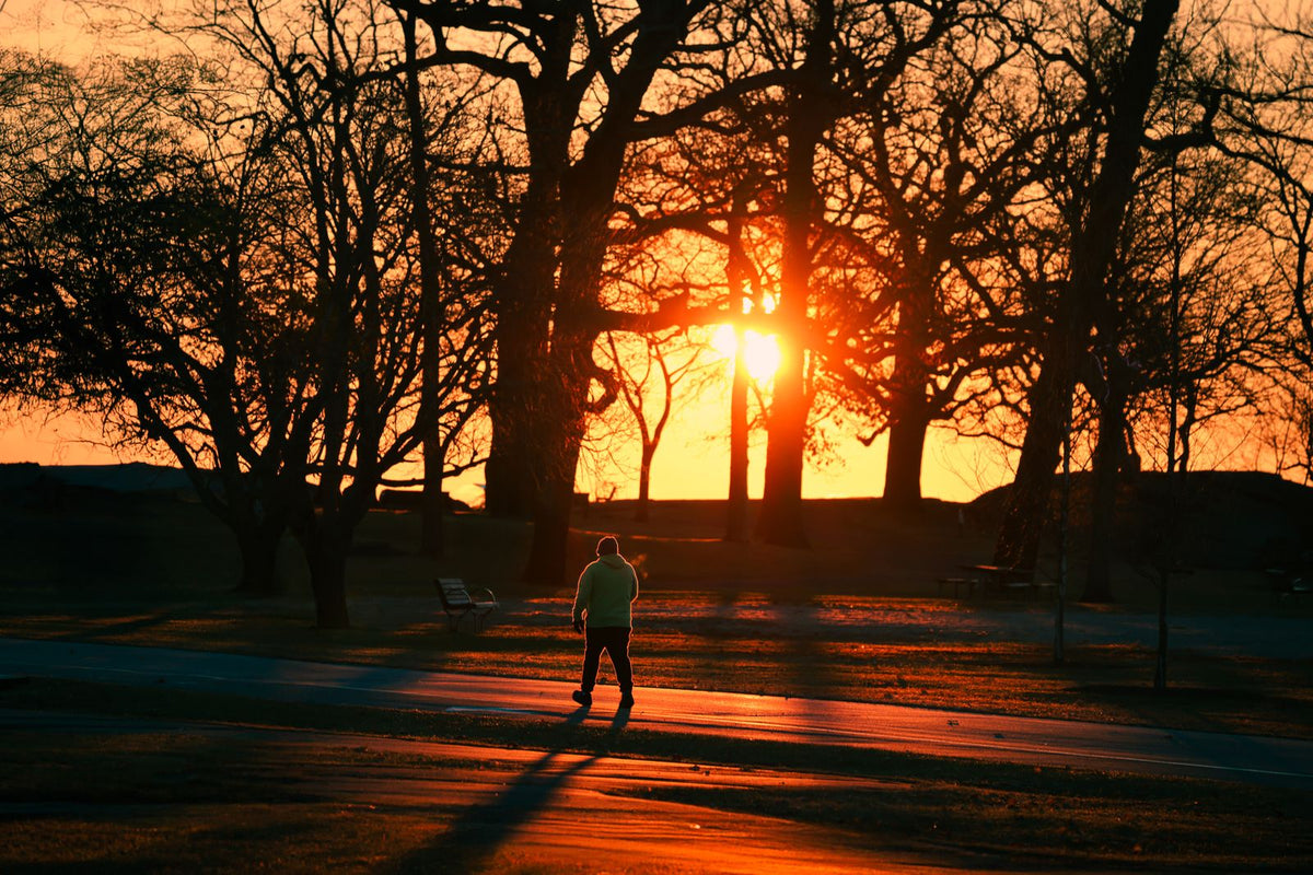 A person walking along a park path during a golden autumn sunrise